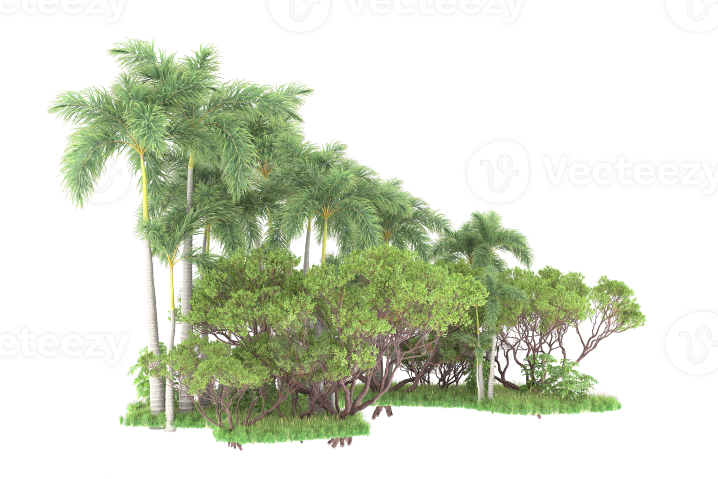 Realistic forest isolated on transparent background. 3d rendering - illustration png