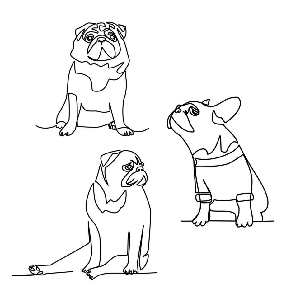 Pugs vector illustration