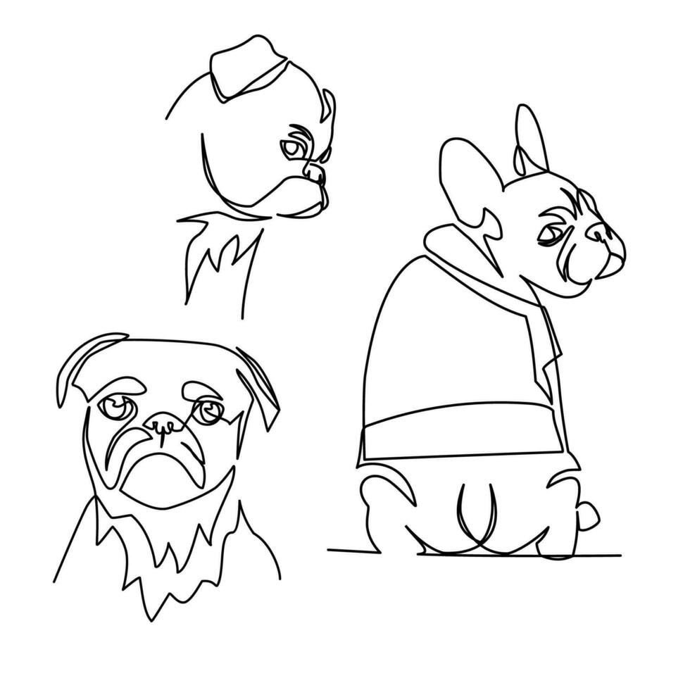 Pugs vector illustration