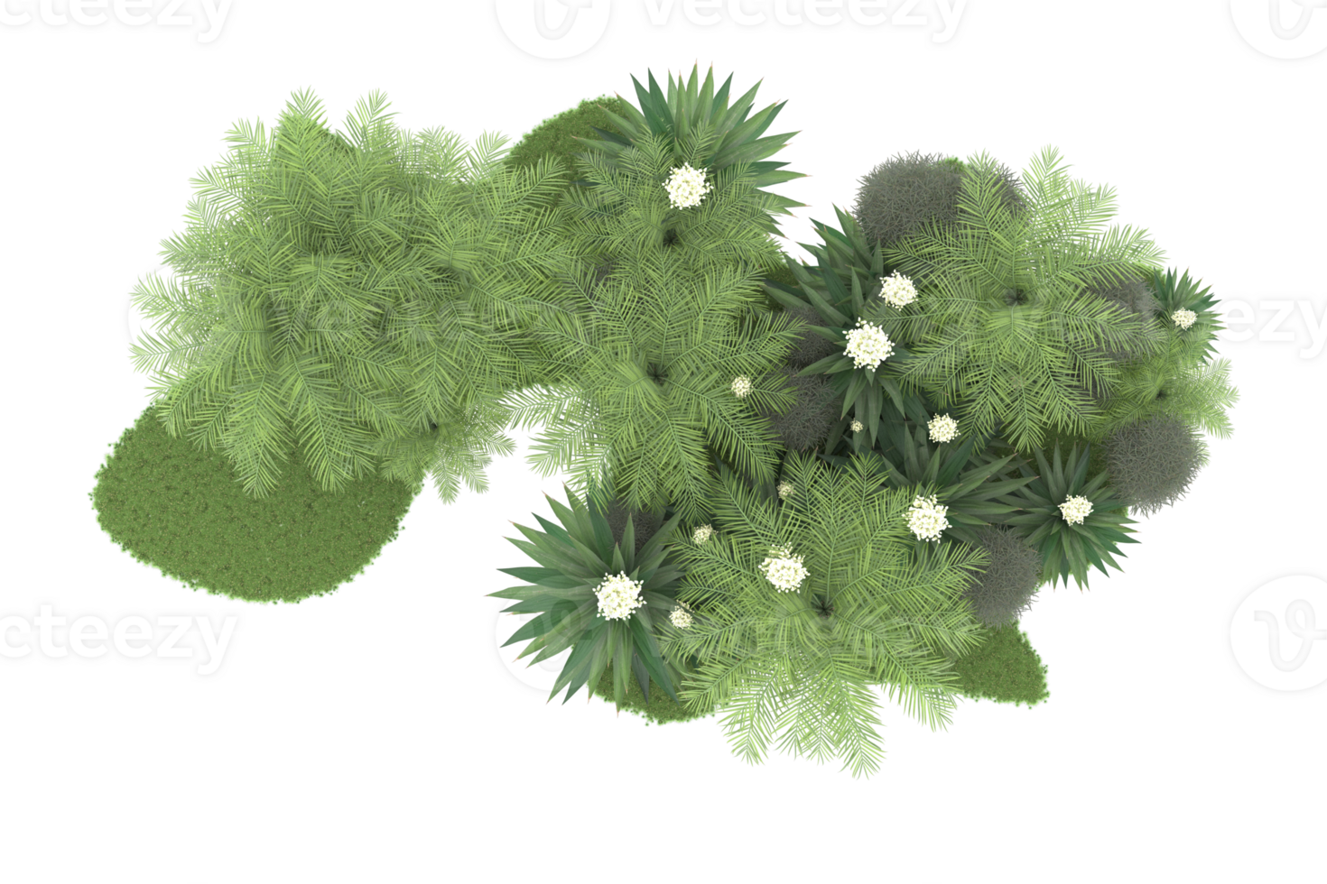 Realistic forest isolated on transparent background. 3d rendering - illustration png