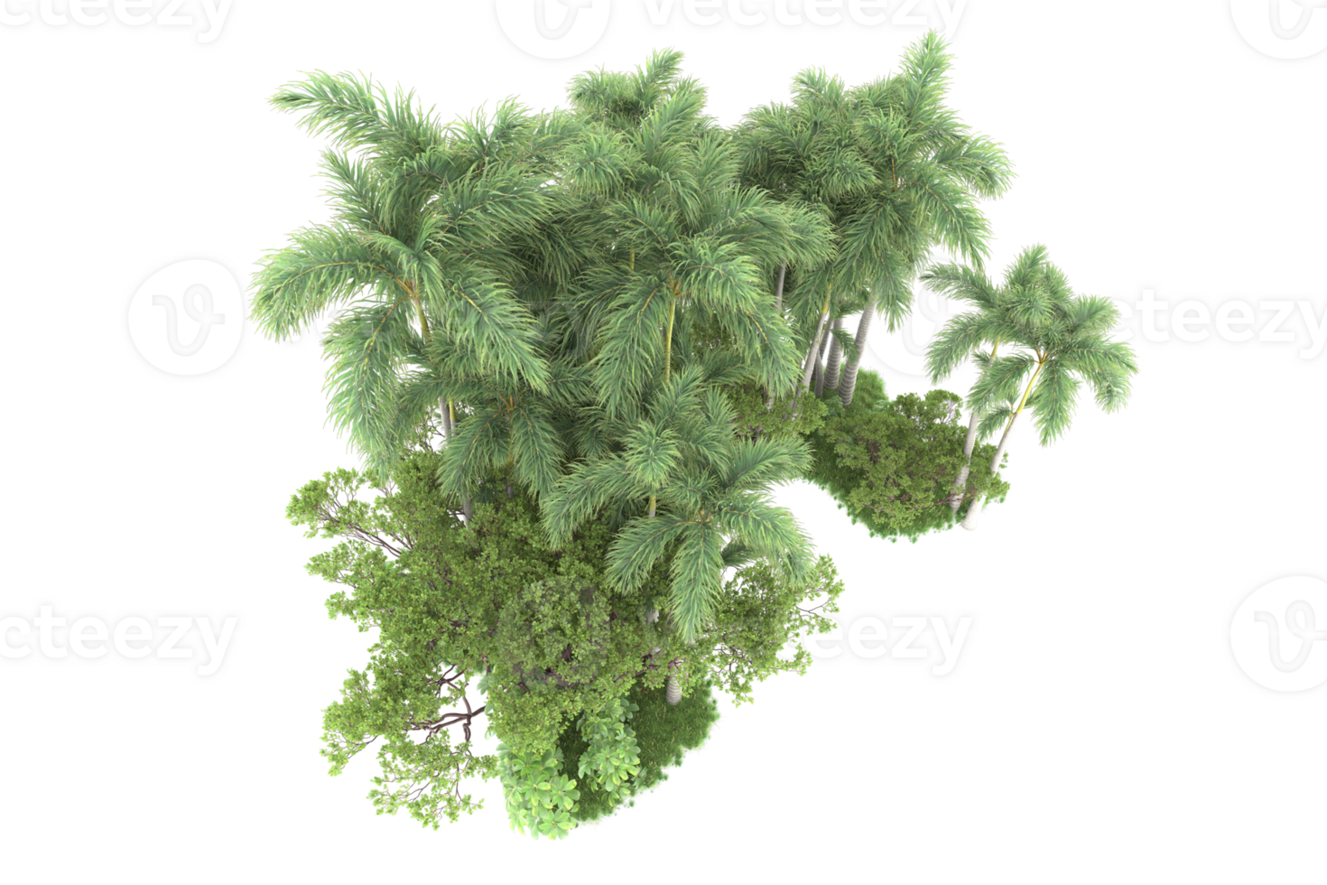 Realistic forest isolated on transparent background. 3d rendering - illustration png