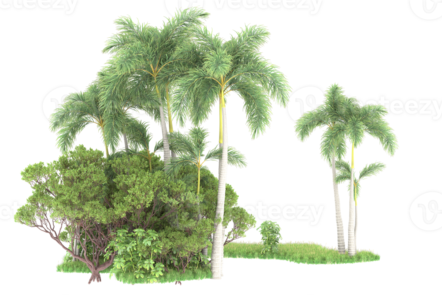 Realistic forest isolated on transparent background. 3d rendering - illustration png