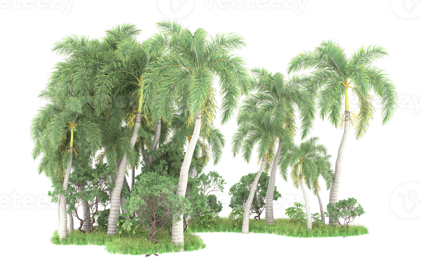 Realistic forest isolated on transparent background. 3d rendering - illustration png