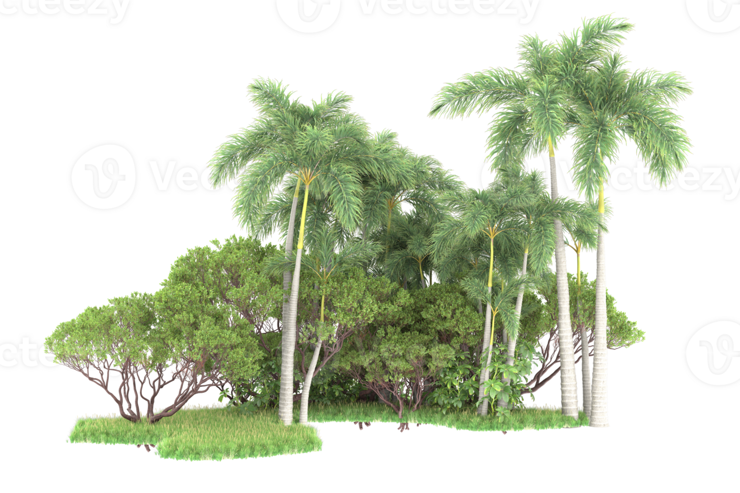 Realistic forest isolated on transparent background. 3d rendering - illustration png