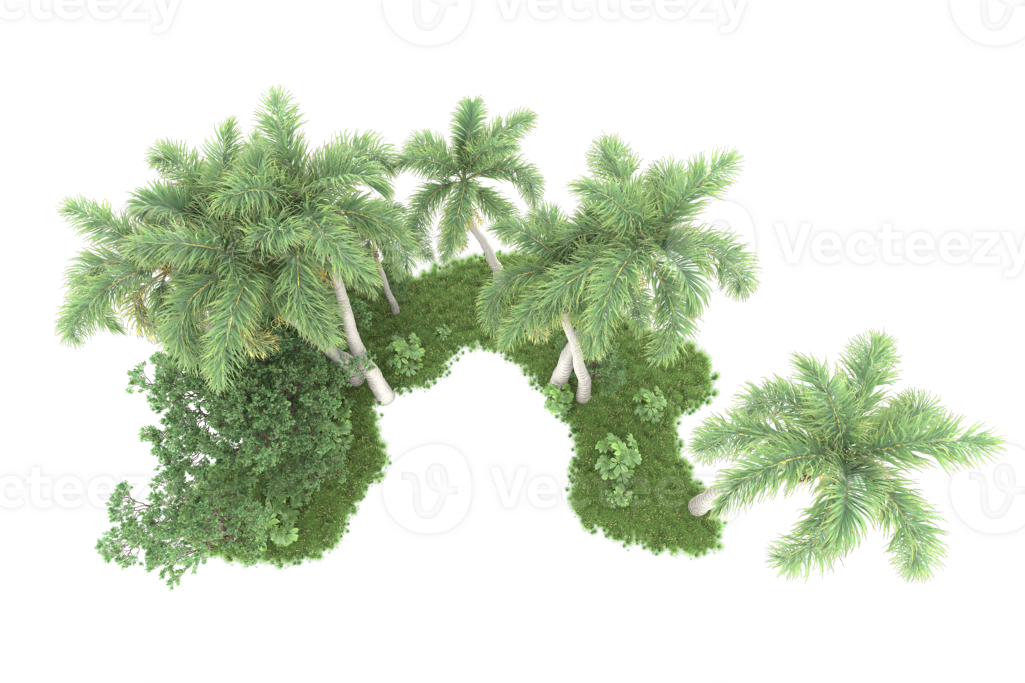 Realistic forest isolated on transparent background. 3d rendering - illustration png