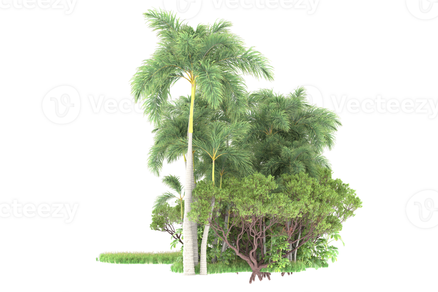 Realistic forest isolated on transparent background. 3d rendering - illustration png