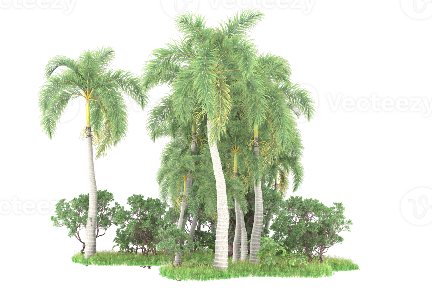 Realistic forest isolated on transparent background. 3d rendering - illustration png