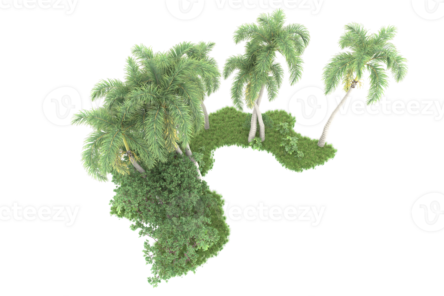 realistico foresta isolato su trasparente sfondo. 3d interpretazione - illustrazione png