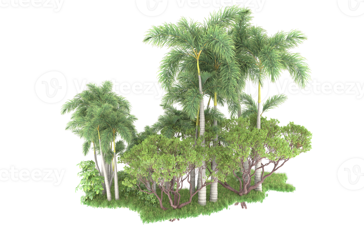Realistic forest isolated on transparent background. 3d rendering - illustration png