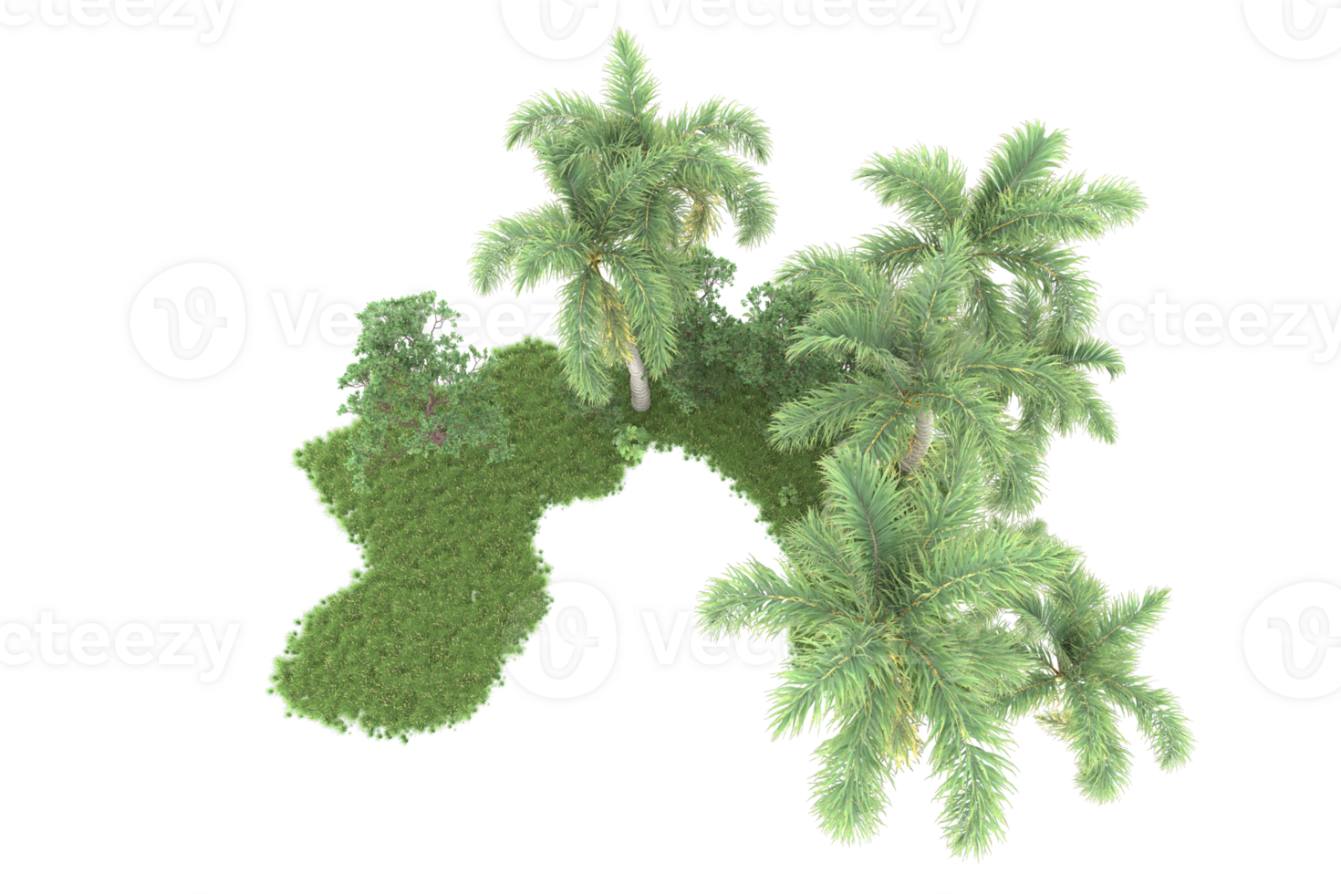 realistico foresta isolato su trasparente sfondo. 3d interpretazione - illustrazione png