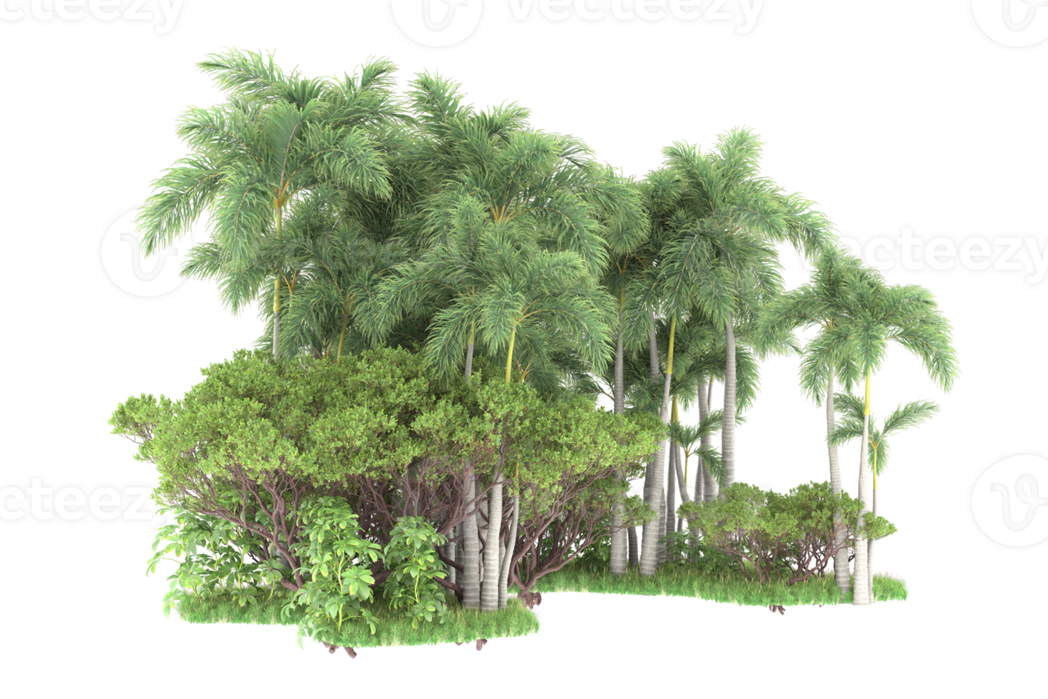 Realistic forest isolated on transparent background. 3d rendering - illustration png