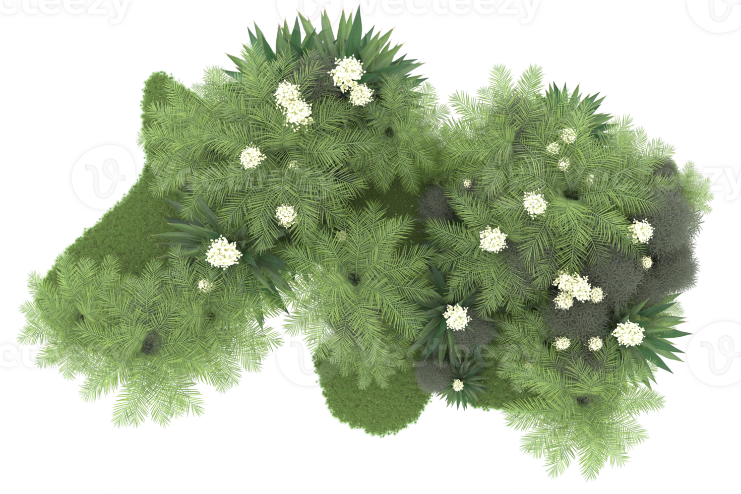 Realistic forest isolated on transparent background. 3d rendering - illustration png