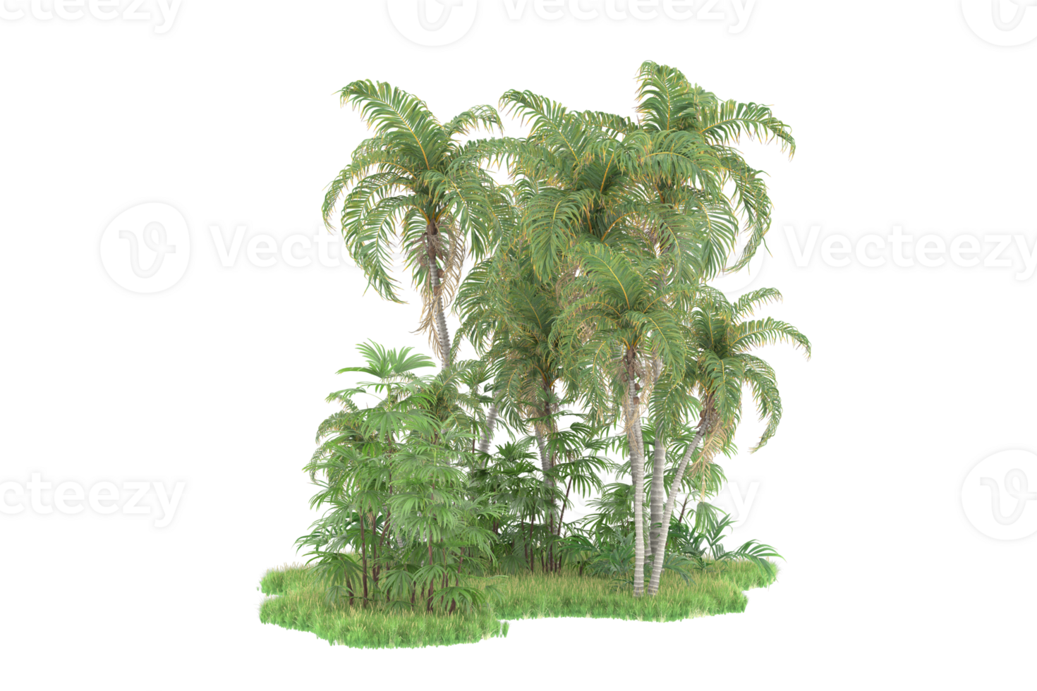 Realistic forest isolated on transparent background. 3d rendering - illustration png