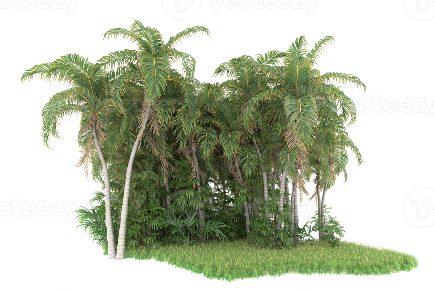 Realistic forest isolated on transparent background. 3d rendering - illustration png