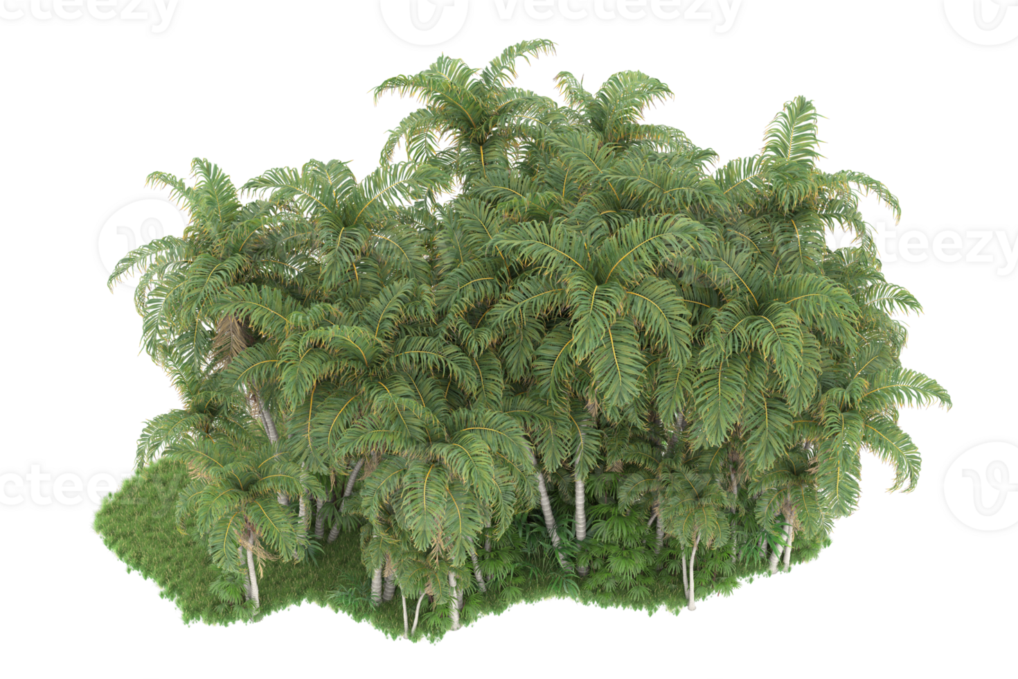 Realistic forest isolated on transparent background. 3d rendering - illustration png