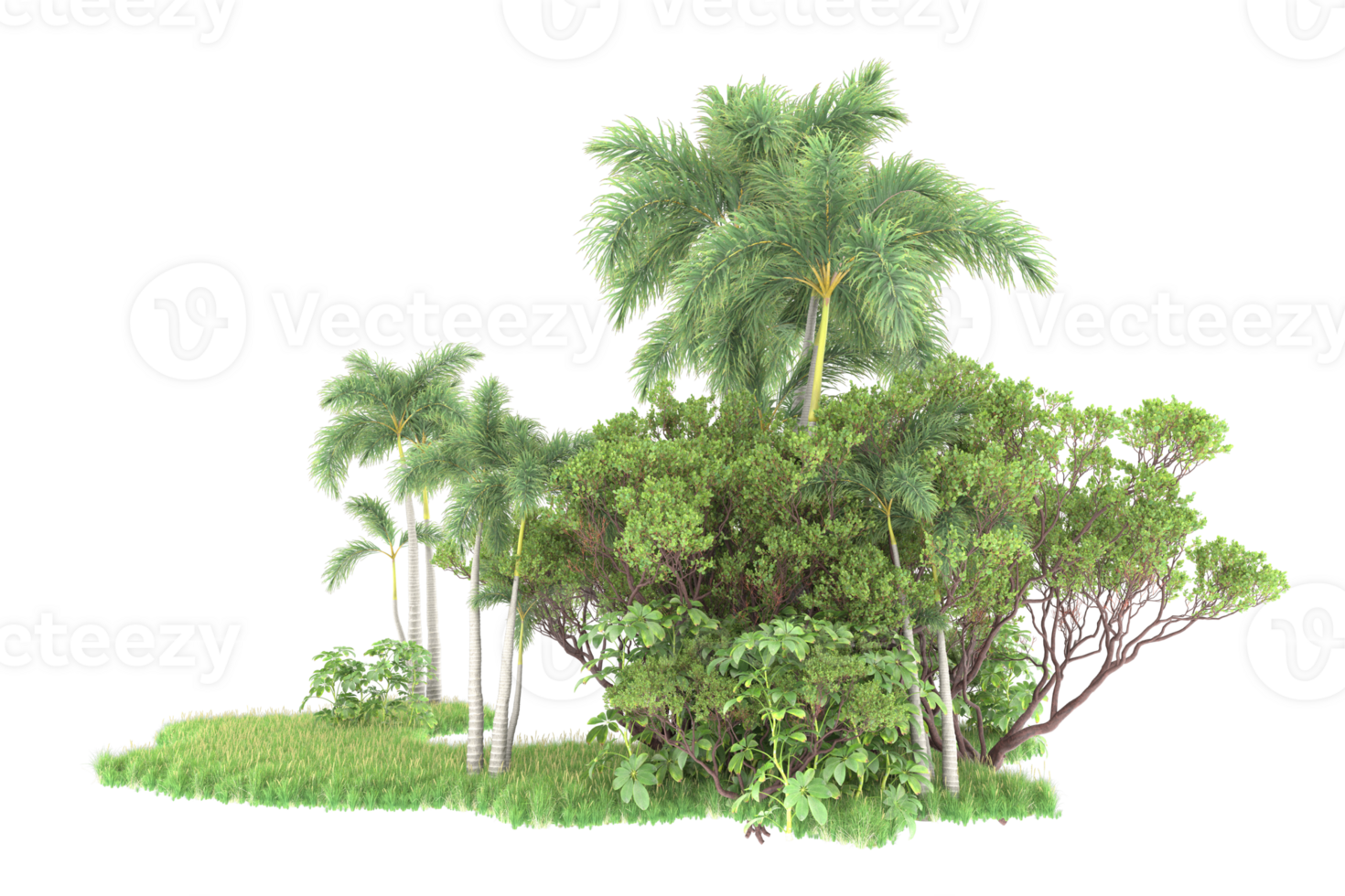 Realistic forest isolated on transparent background. 3d rendering - illustration png