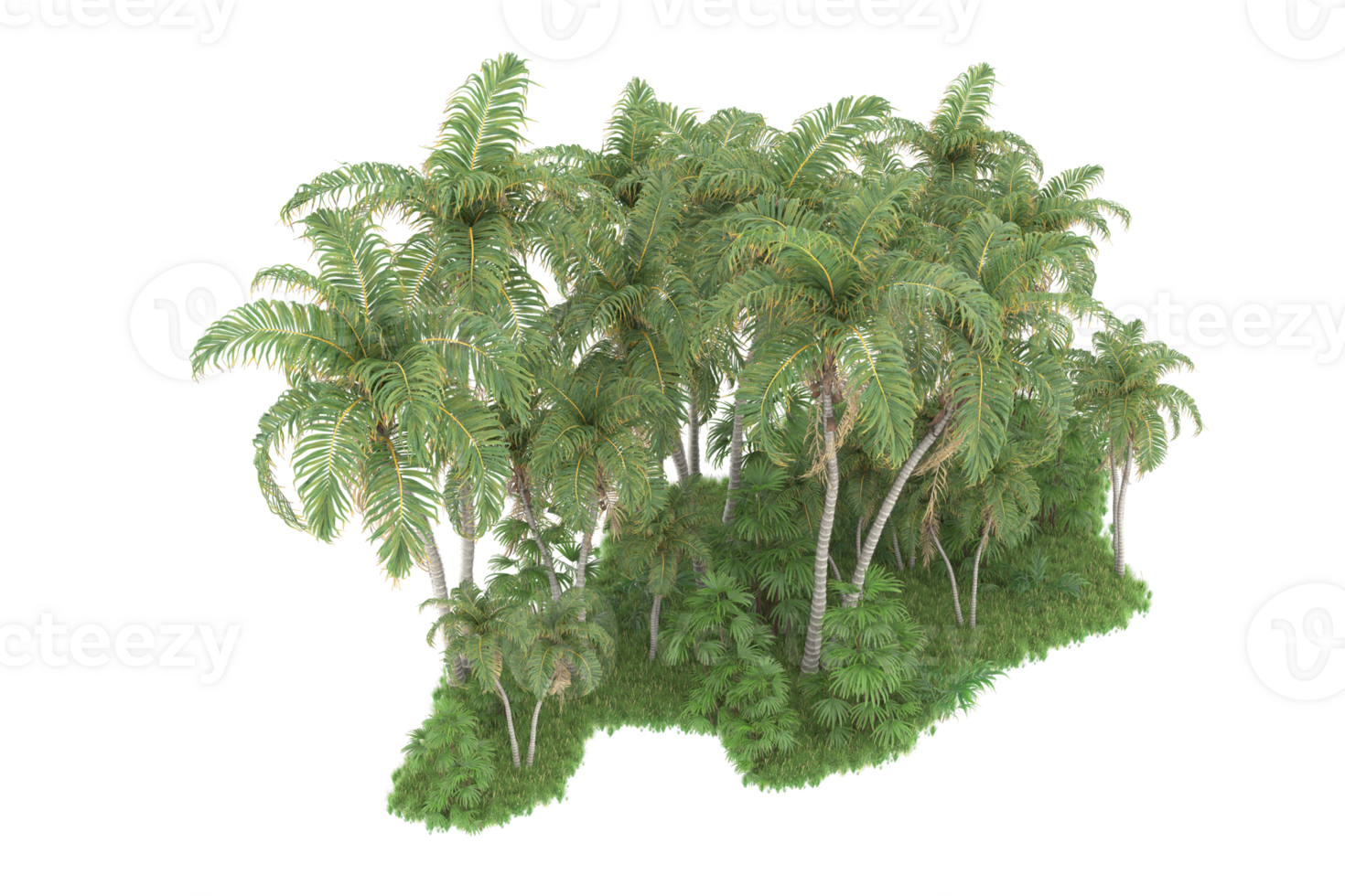 Realistic forest isolated on transparent background. 3d rendering - illustration png