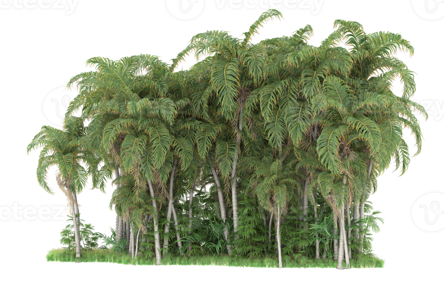 Realistic forest isolated on transparent background. 3d rendering - illustration png