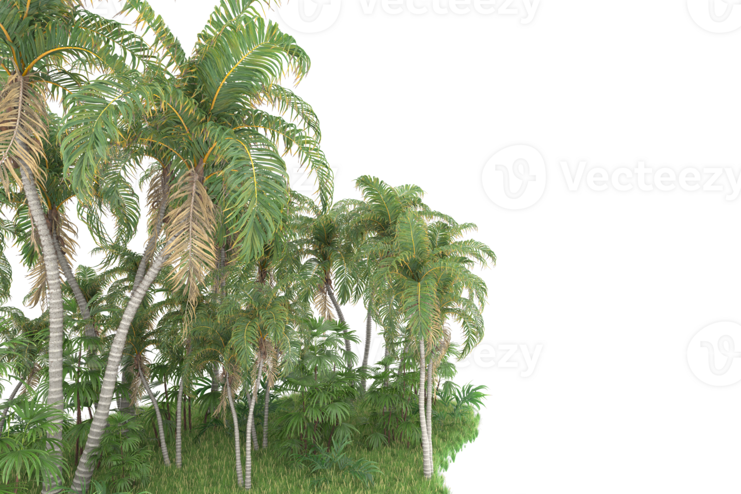 Realistic forest isolated on transparent background. 3d rendering - illustration png