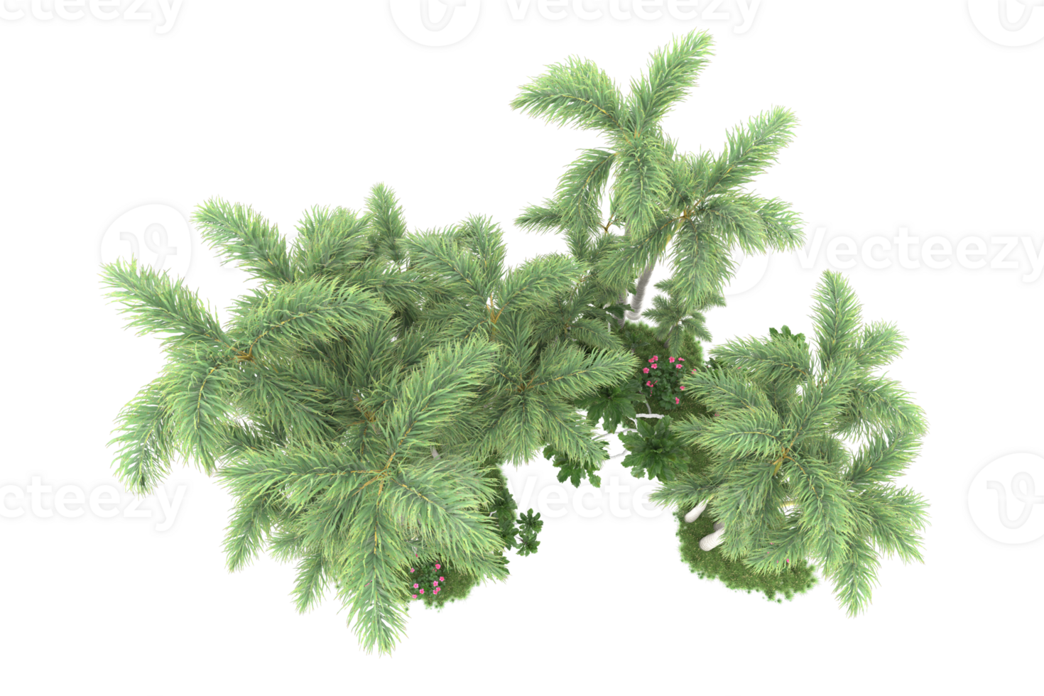 Realistic forest isolated on transparent background. 3d rendering - illustration png