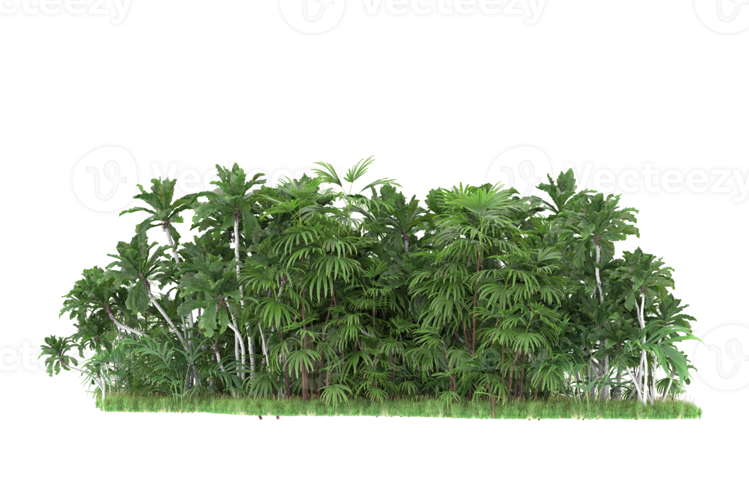 Realistic forest isolated on transparent background. 3d rendering - illustration png
