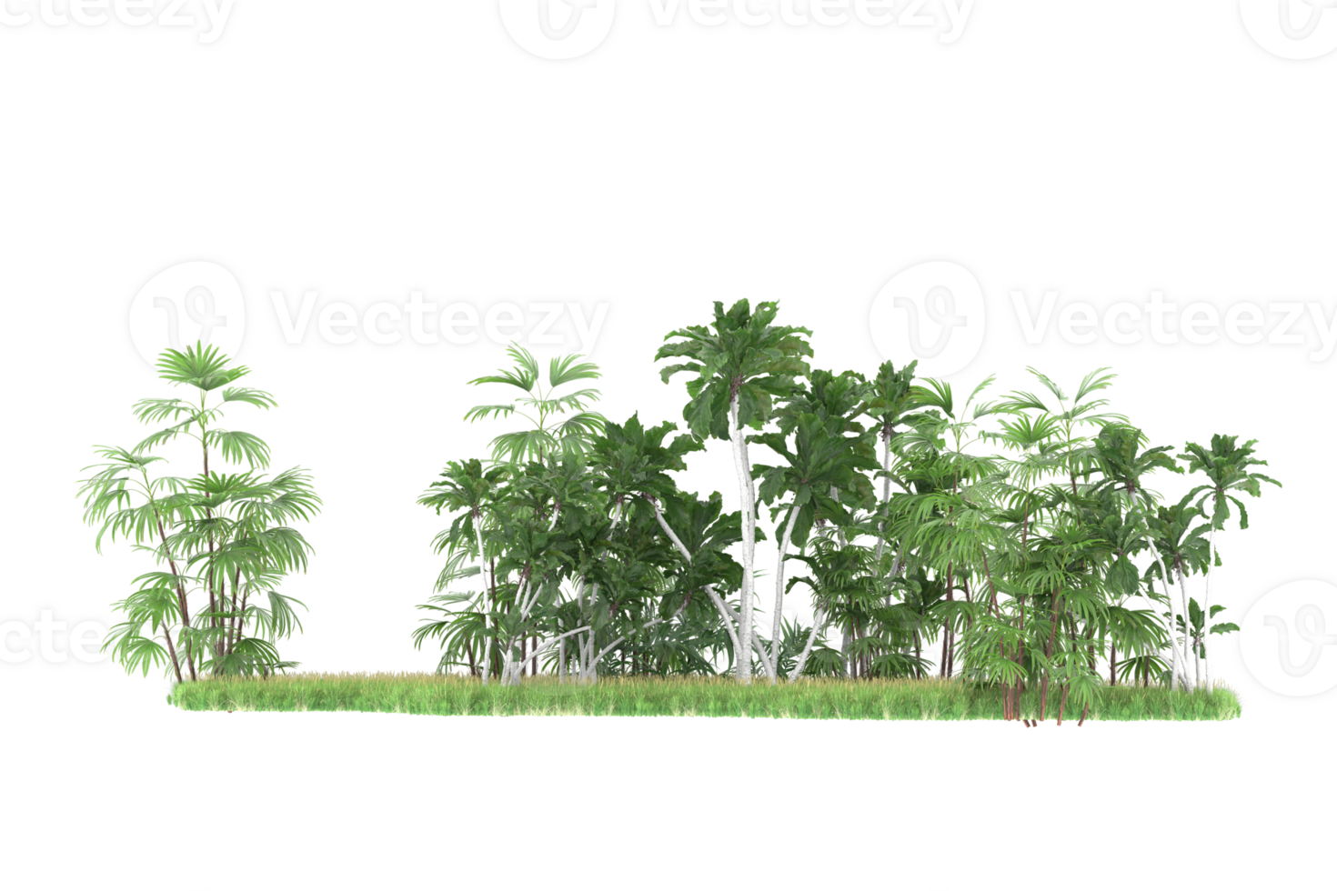 Realistic forest isolated on transparent background. 3d rendering - illustration png