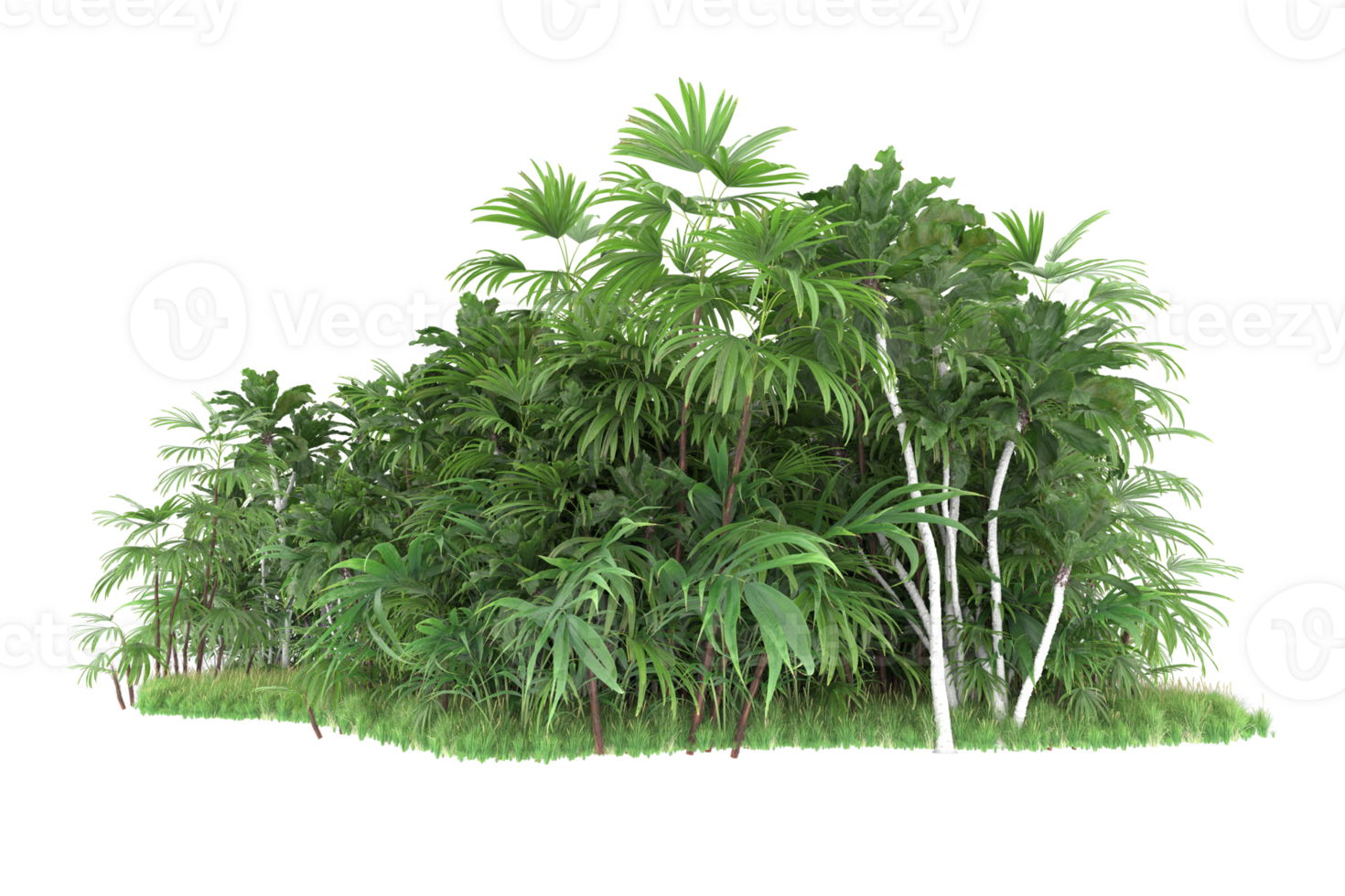 Realistic forest isolated on transparent background. 3d rendering - illustration png