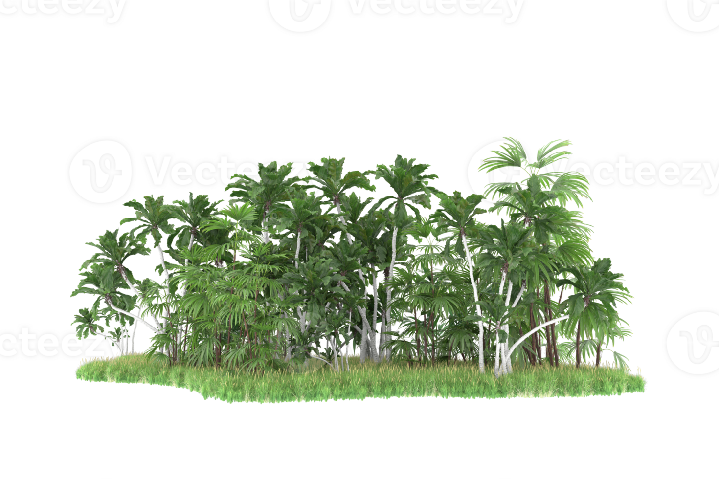 Realistic forest isolated on transparent background. 3d rendering - illustration png