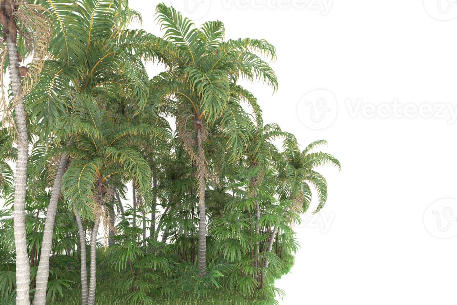 Realistic forest isolated on transparent background. 3d rendering - illustration png