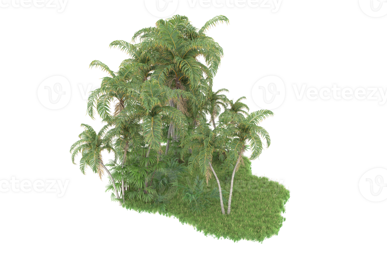 Realistic forest isolated on transparent background. 3d rendering - illustration png