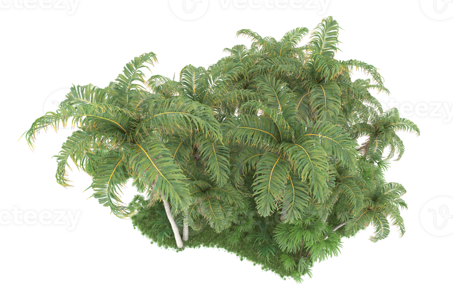 Realistic forest isolated on transparent background. 3d rendering - illustration png