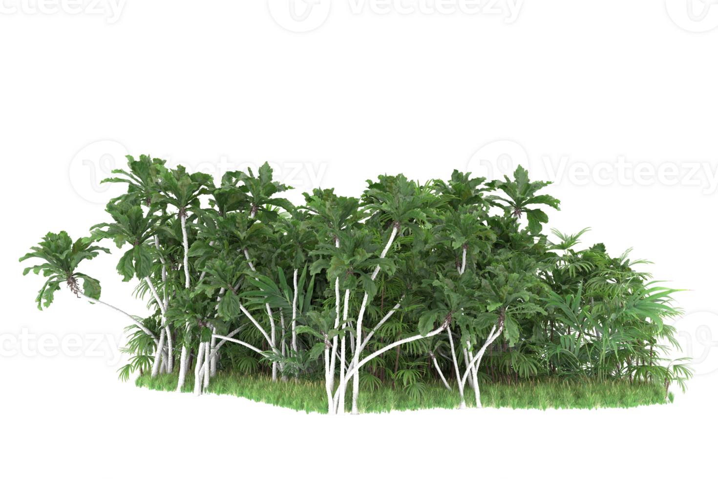 Realistic forest isolated on transparent background. 3d rendering - illustration png