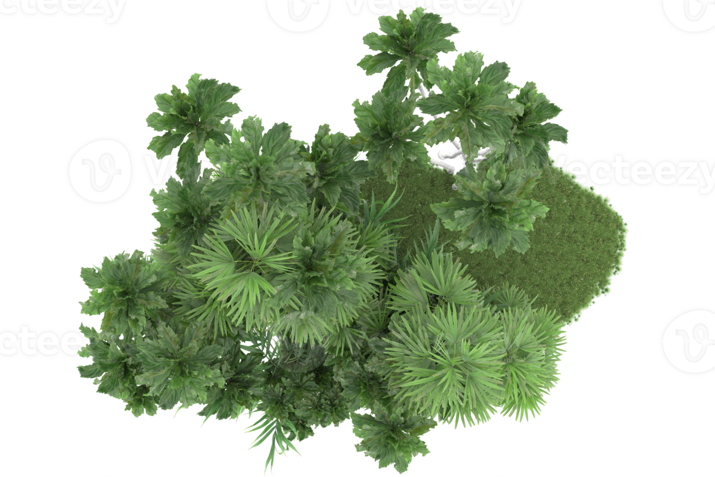 Realistic forest isolated on transparent background. 3d rendering - illustration png