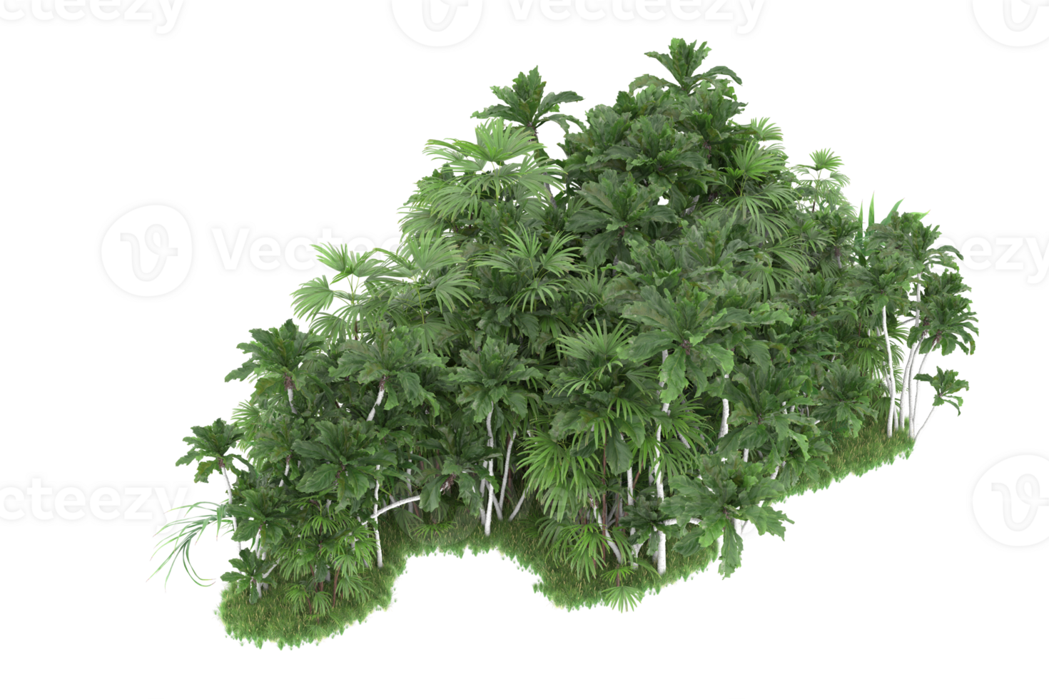 Realistic forest isolated on transparent background. 3d rendering - illustration png