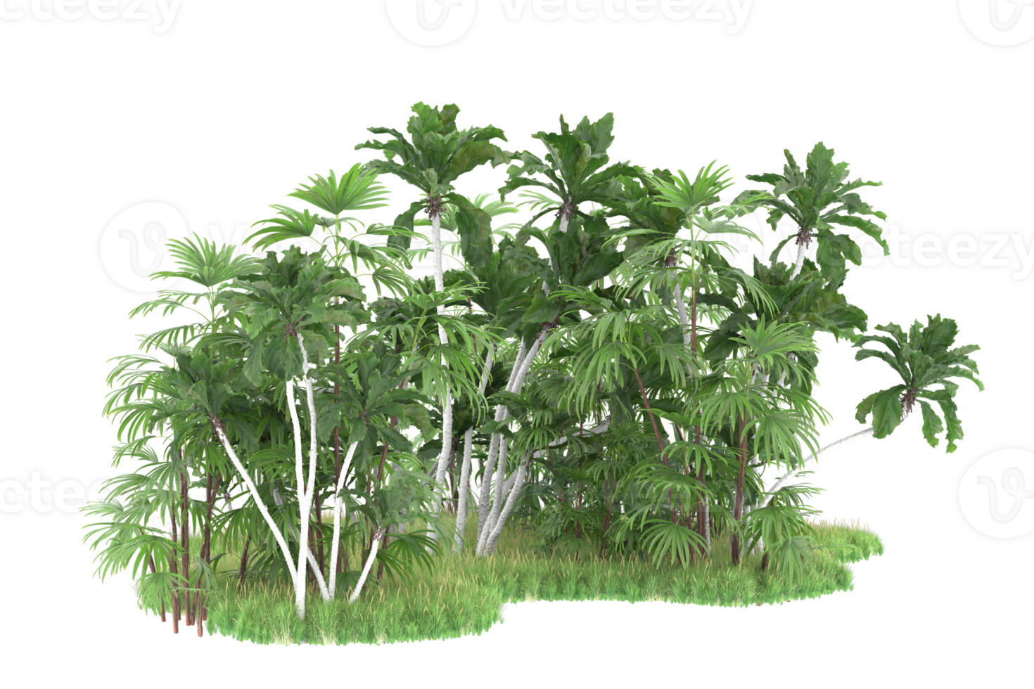 Realistic forest isolated on transparent background. 3d rendering - illustration png