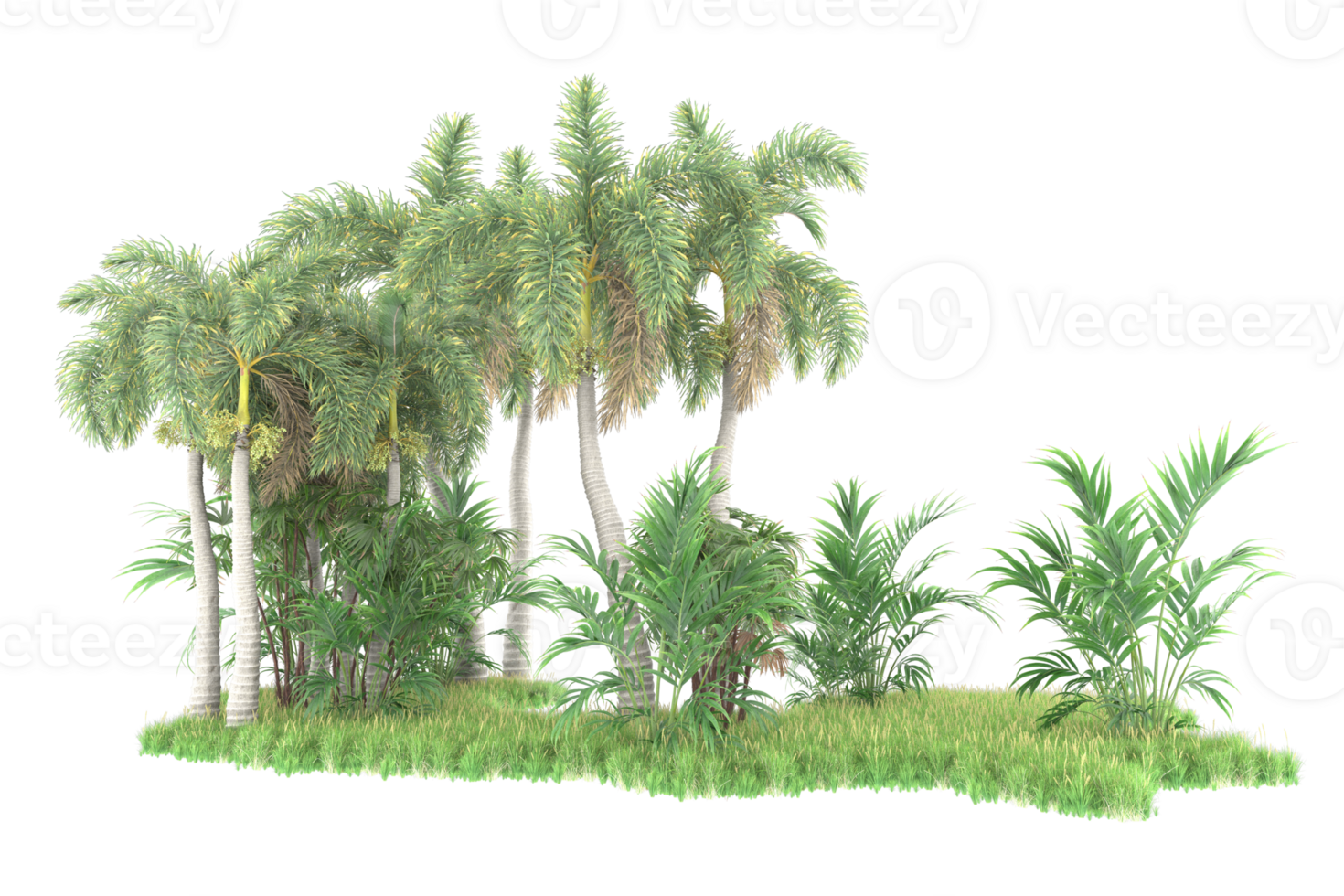 Realistic forest isolated on transparent background. 3d rendering - illustration png