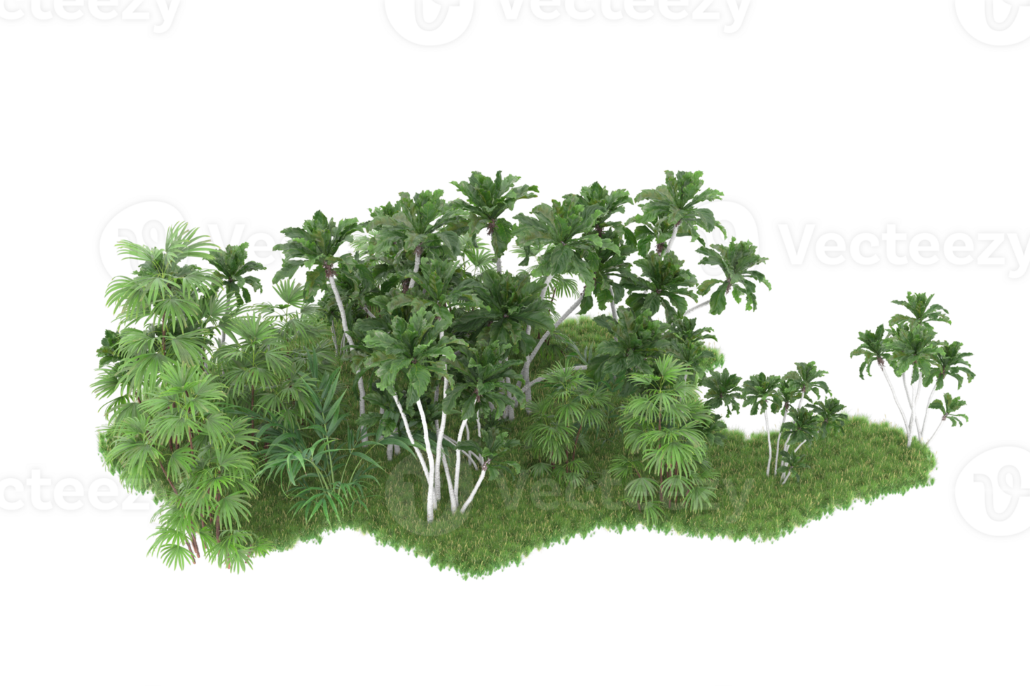 Realistic forest isolated on transparent background. 3d rendering - illustration png