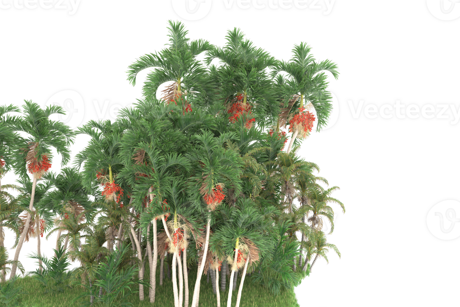 Realistic forest isolated on transparent background. 3d rendering - illustration png
