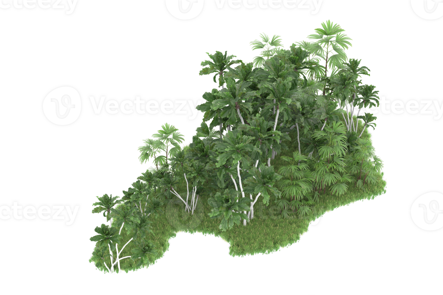 Realistic forest isolated on transparent background. 3d rendering - illustration png