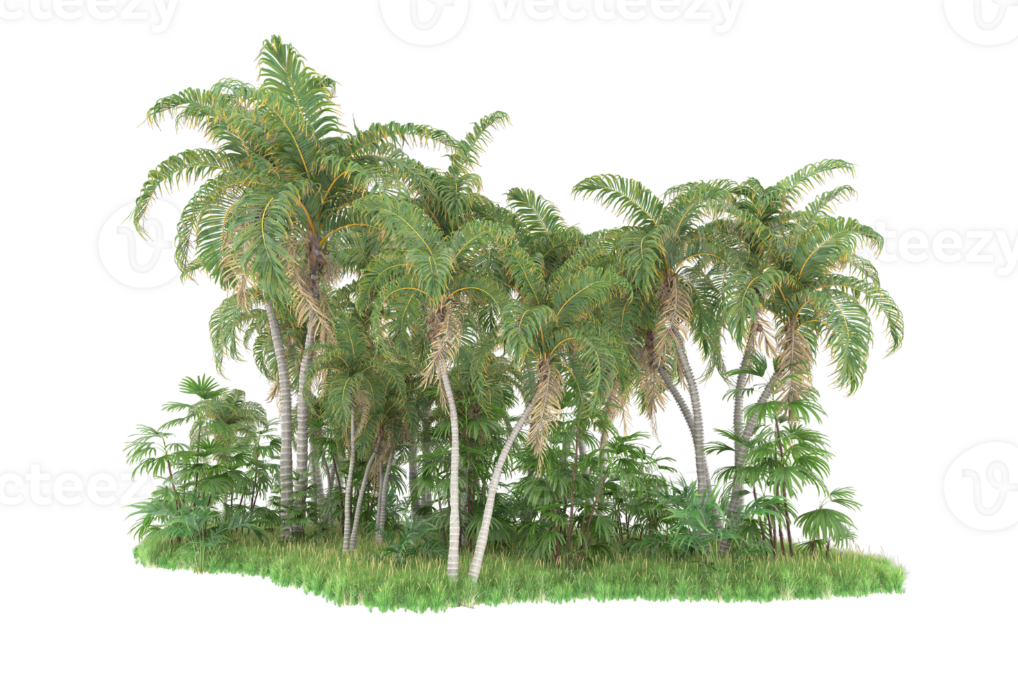 Realistic forest isolated on transparent background. 3d rendering - illustration png