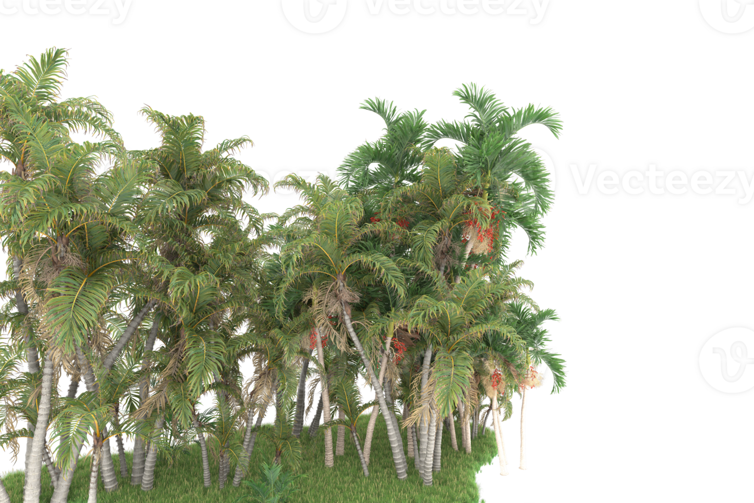 Realistic forest isolated on transparent background. 3d rendering - illustration png