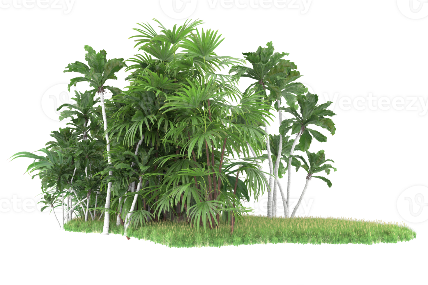 Realistic forest isolated on transparent background. 3d rendering - illustration png