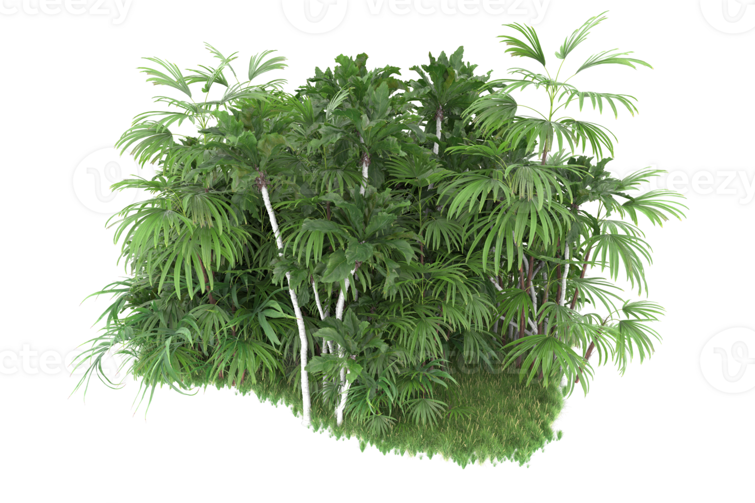 Realistic forest isolated on transparent background. 3d rendering - illustration png