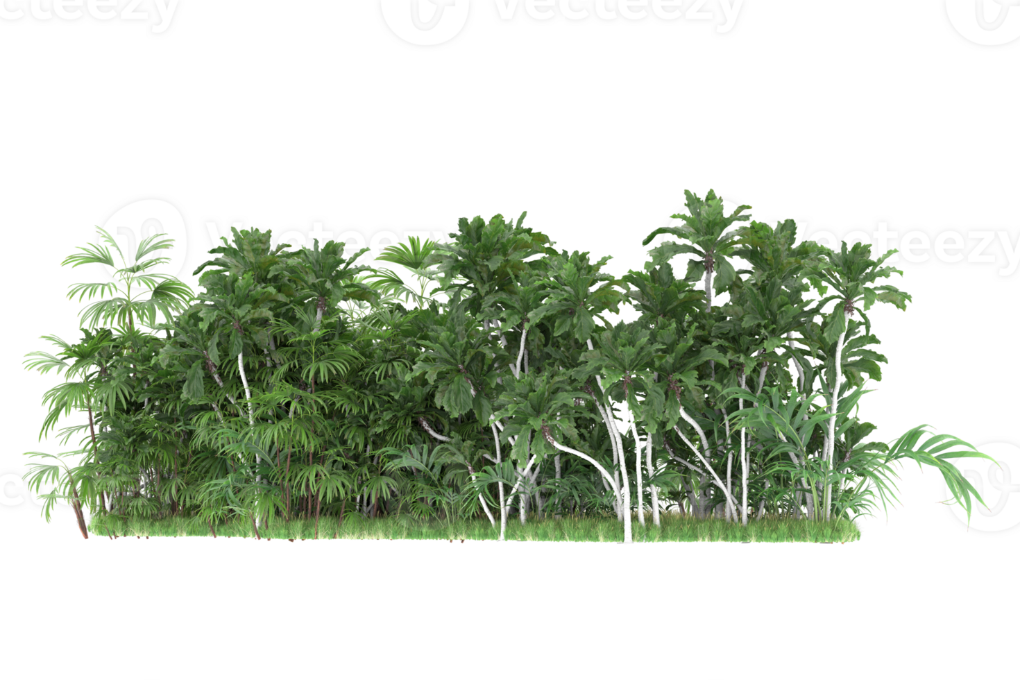 Realistic forest isolated on transparent background. 3d rendering - illustration png