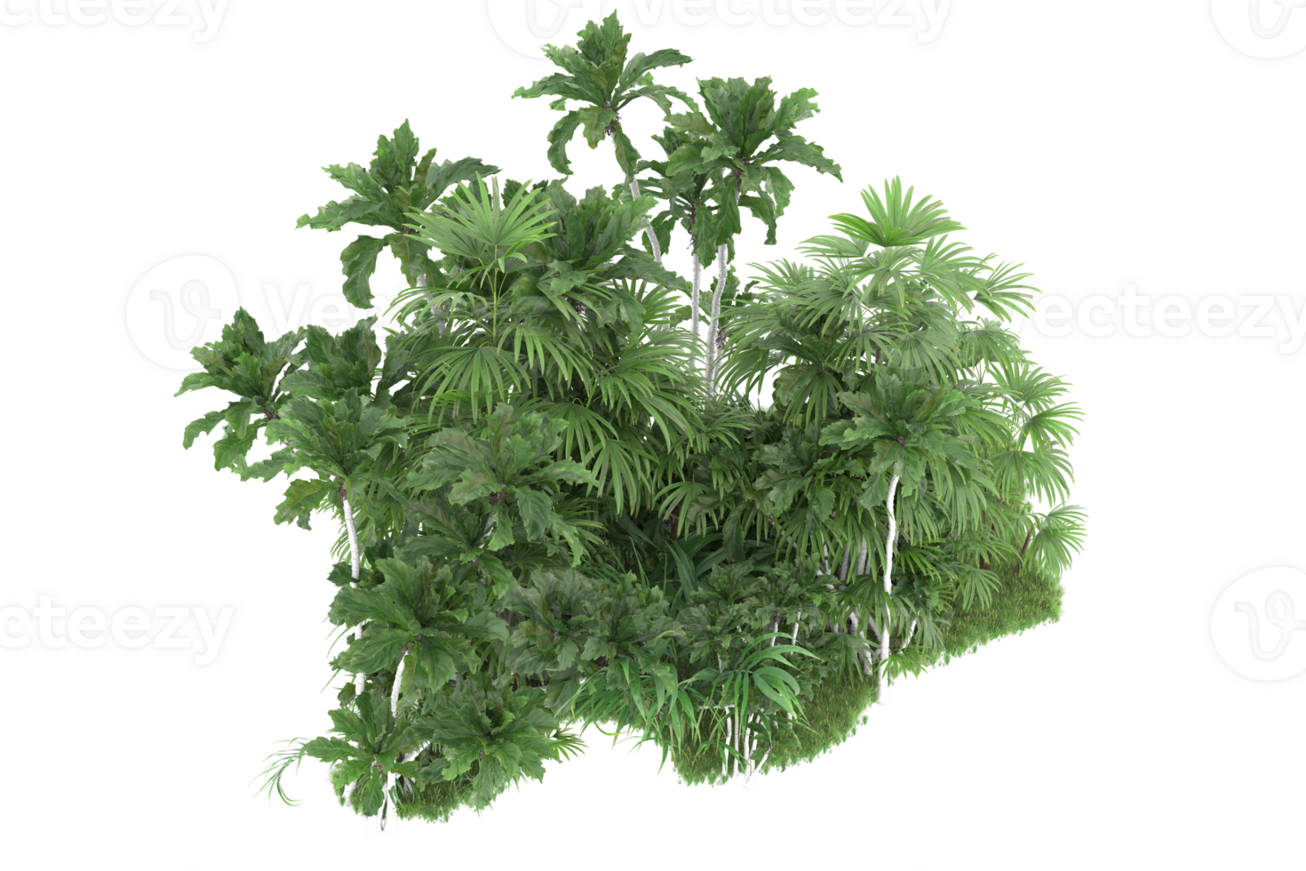 Realistic forest isolated on transparent background. 3d rendering - illustration png