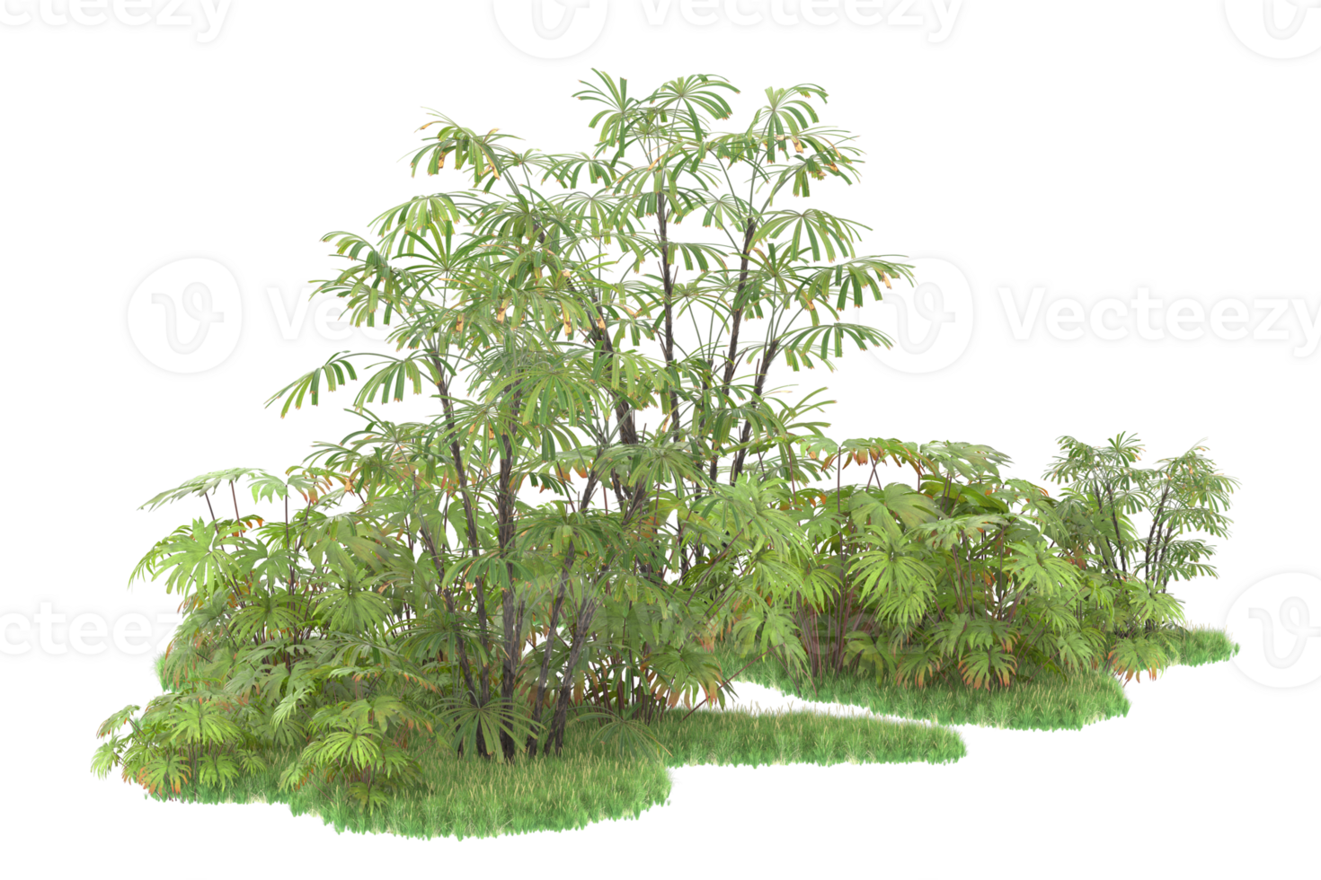 Realistic forest isolated on transparent background. 3d rendering - illustration png