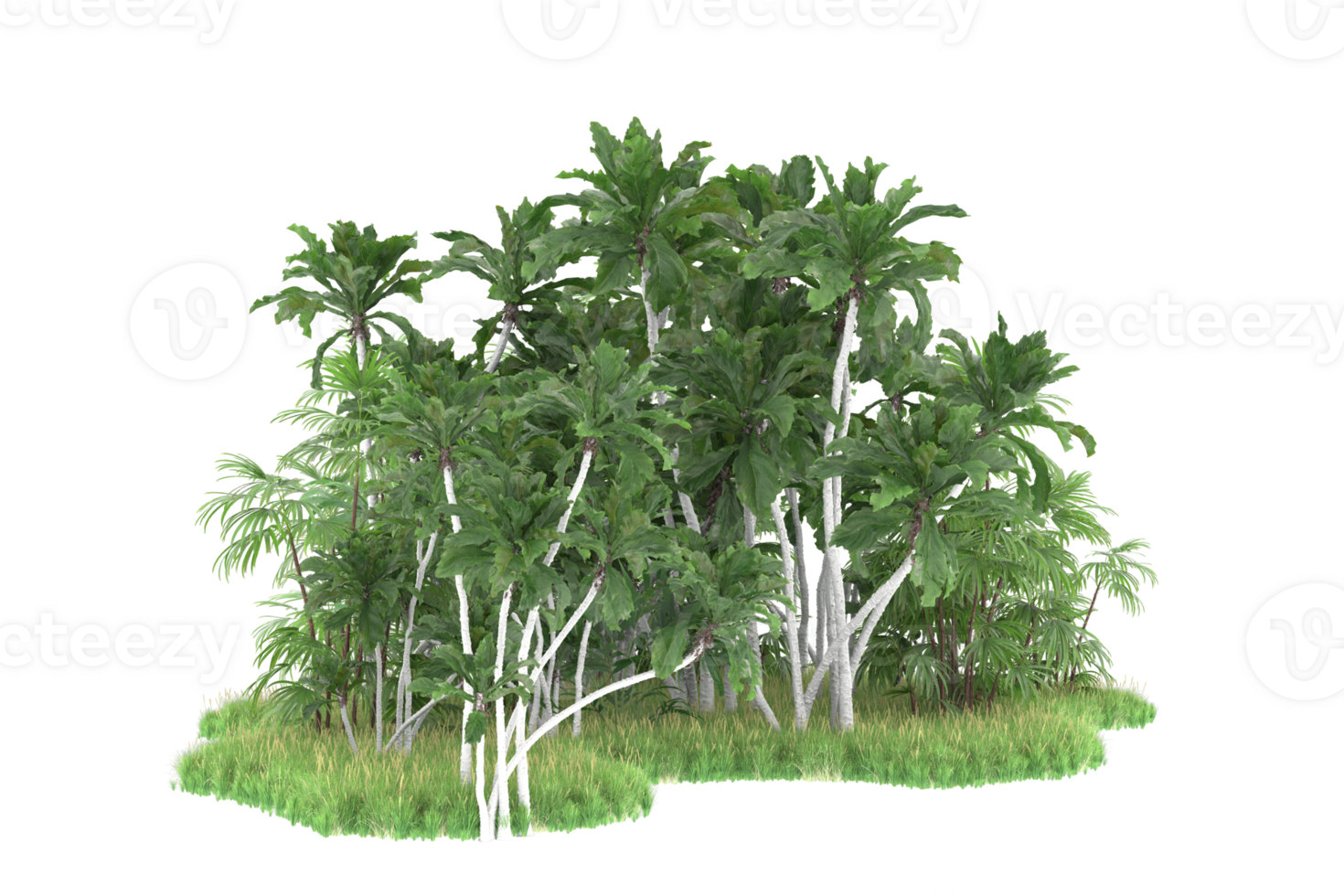 Realistic forest isolated on transparent background. 3d rendering - illustration png
