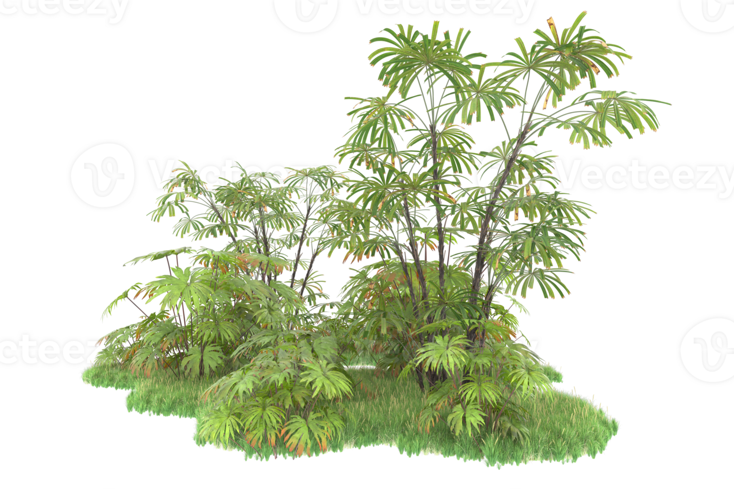 Realistic forest isolated on transparent background. 3d rendering - illustration png