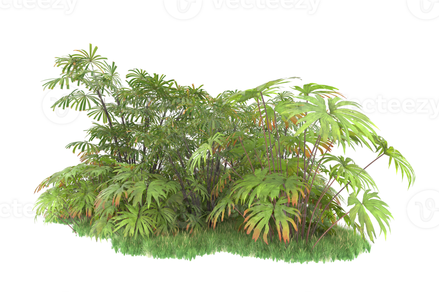 Realistic forest isolated on transparent background. 3d rendering - illustration png
