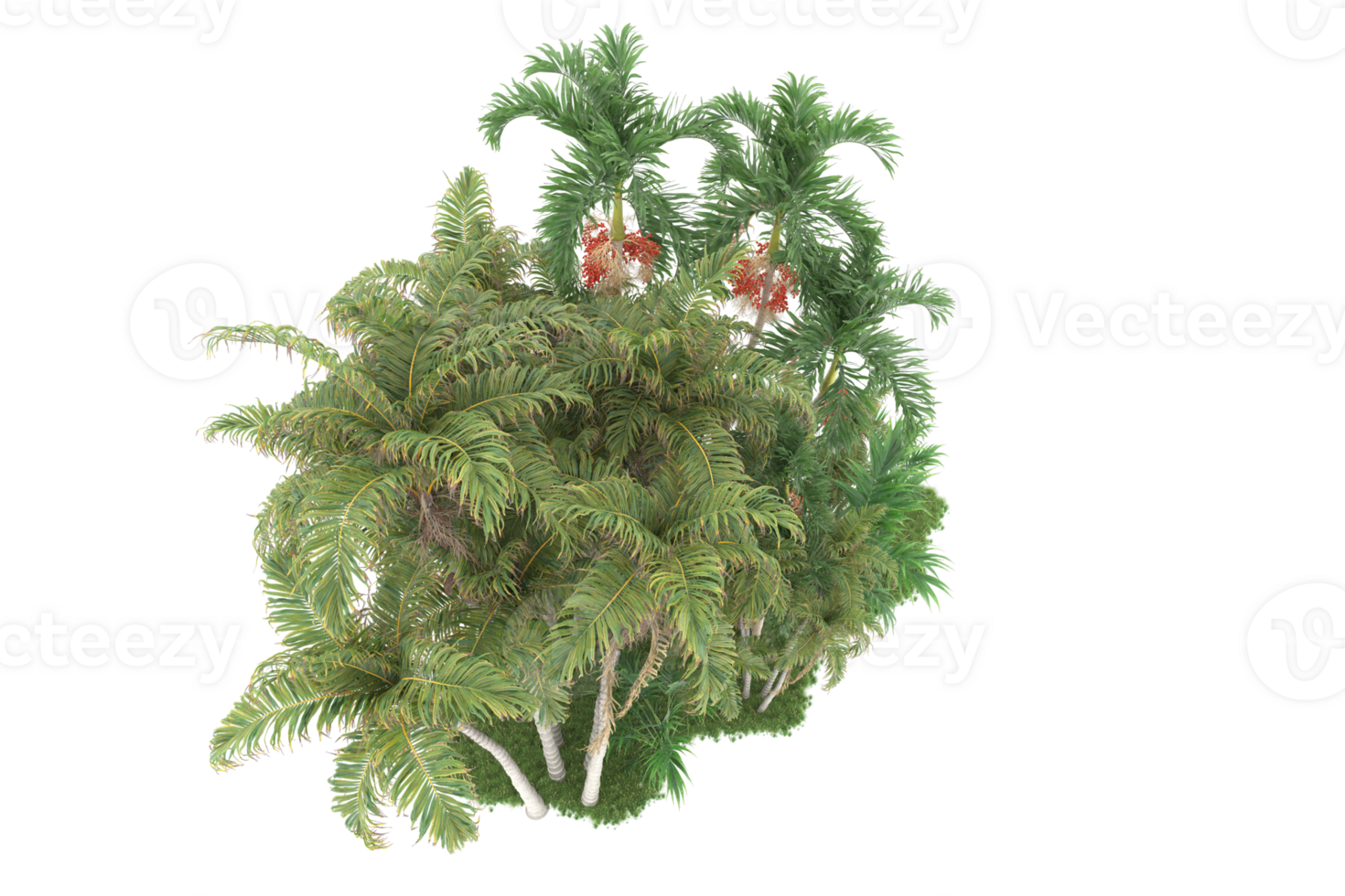 Realistic forest isolated on transparent background. 3d rendering - illustration png